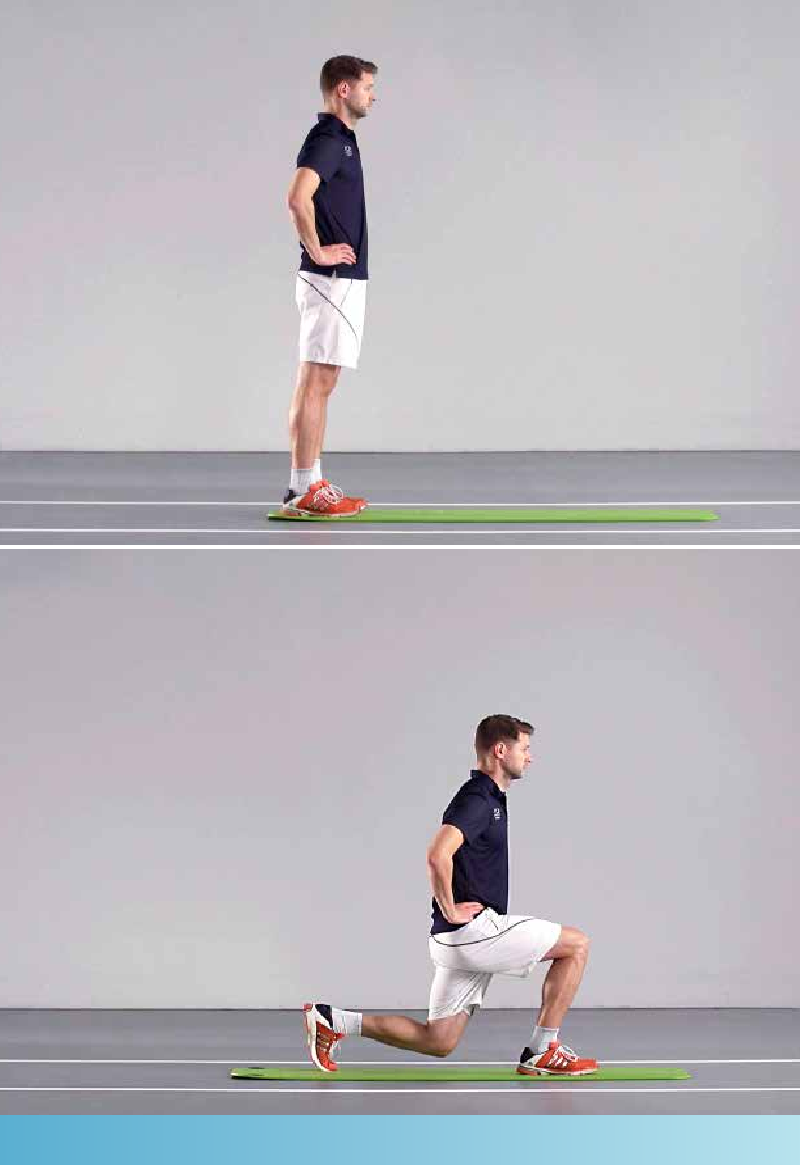 Lunge