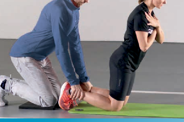 Nordic Hamstrings